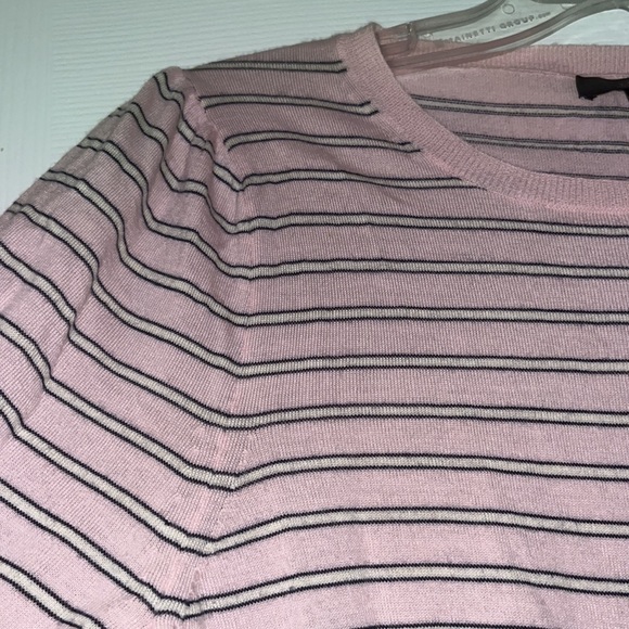 JCrew- pink and navy stripe thing sweater - Picture 3 of 3